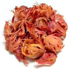 JAPATRI 10G